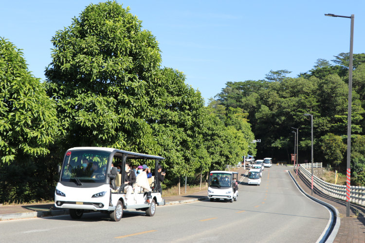 電動觀光車 電動觀光車